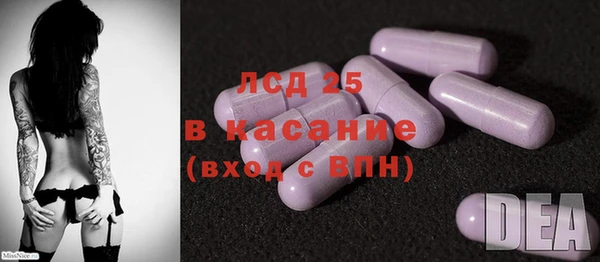 стаф Новозыбков