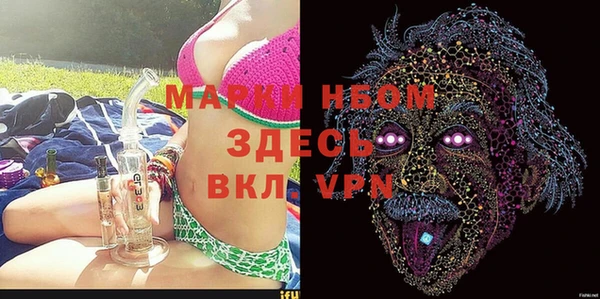 стаф Новозыбков