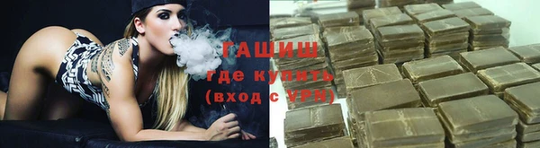 стаф Новозыбков