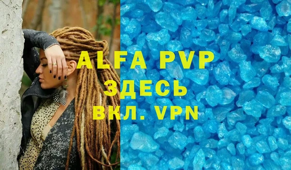стаф Новозыбков