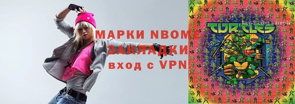 стаф Новозыбков