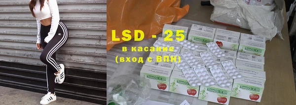 стаф Новозыбков