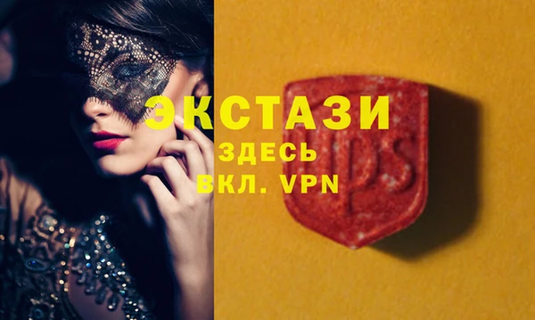 стаф Новозыбков