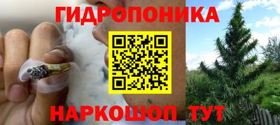 ешки Гагарин