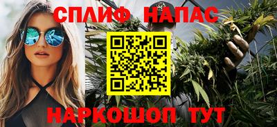 ешки Гагарин