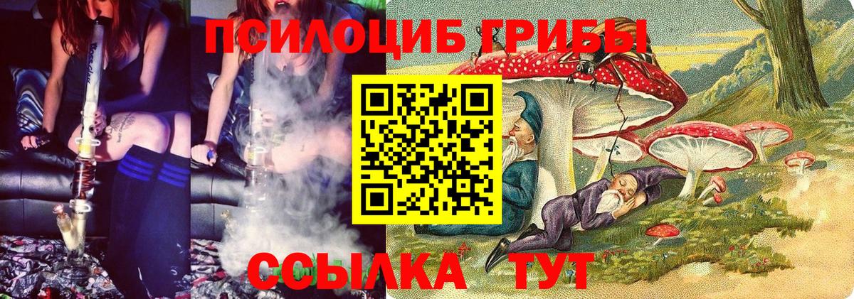 Галлюциногенные грибы Psilocybine cubensis Лиски