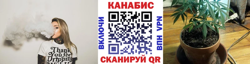 Конопля гибрид  Лиски 